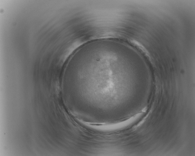 X0000074341457200609082045