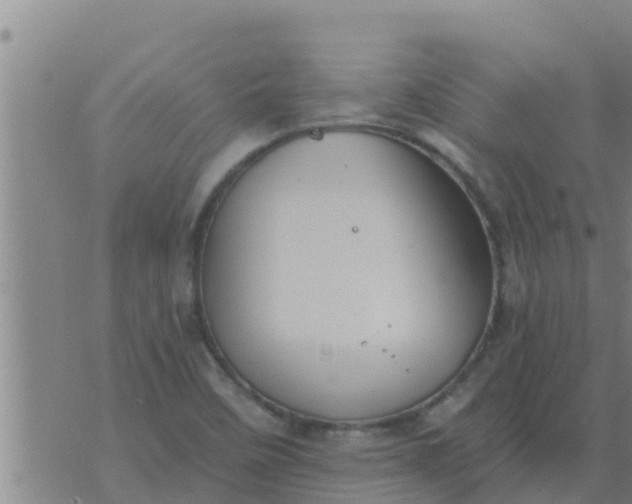 X0000074341458200609082045