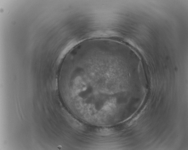 X0000074341459200609082045