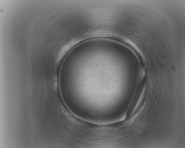 X0000074341461200609082045