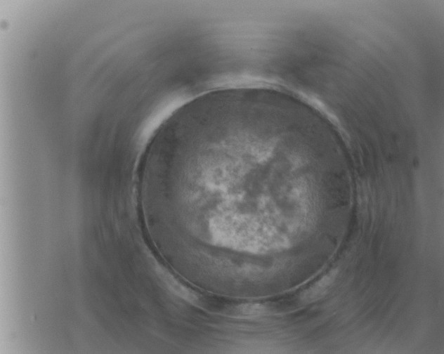 X0000074341463200609082045