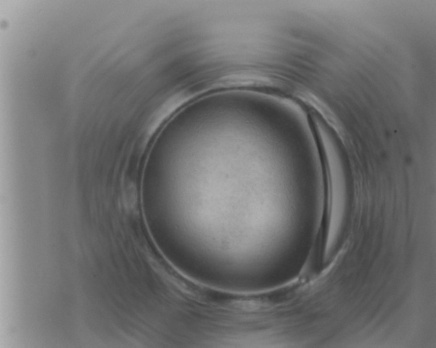 X0000074341465200609082045