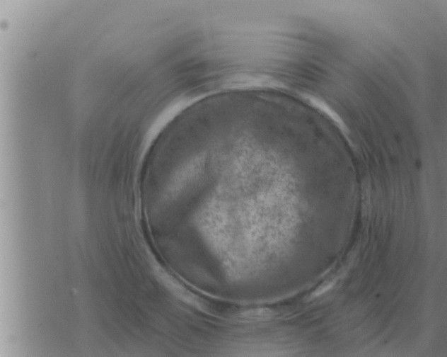 X0000074341467200609082045