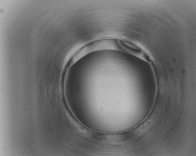 X0000074341469200609082045