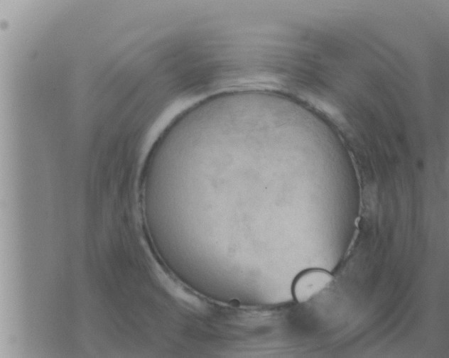 X0000074341470200609082045