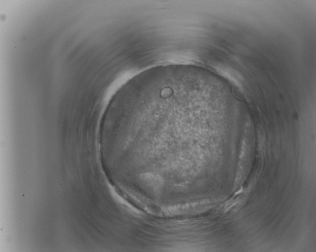 X0000074341471200609082045