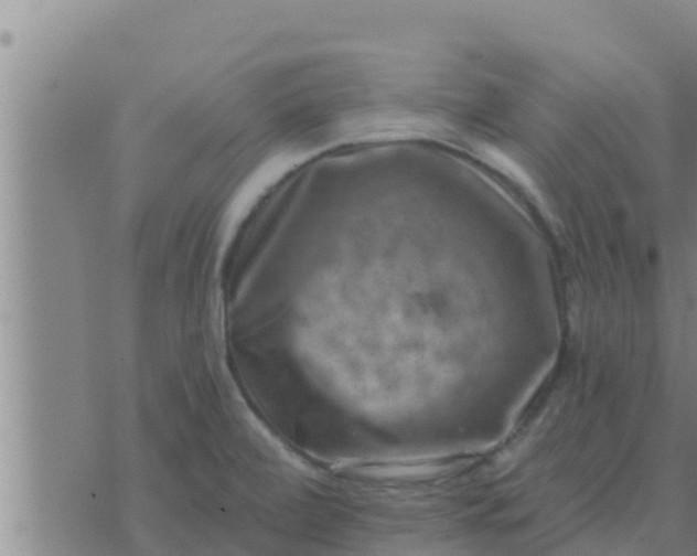 X0000074341472200609082045