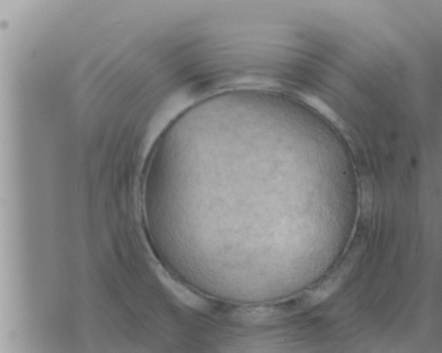 X0000074341474200609082045