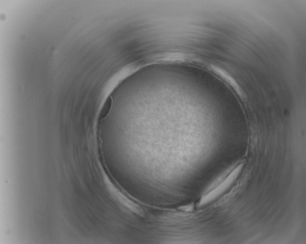 X0000074341475200609082045