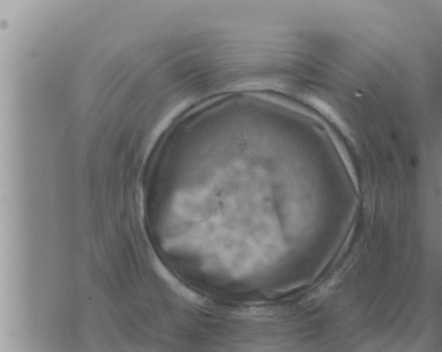 X0000074341476200609082045