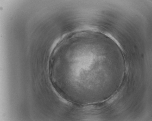 X0000074341477200609082045