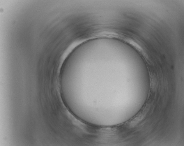 X0000074341478200609082045