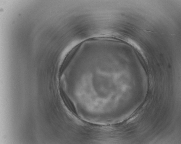 X0000074341480200609082045