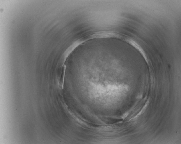 X0000074341481200609082045