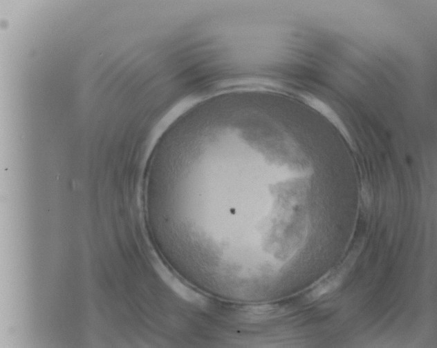 X0000074341482200609082045