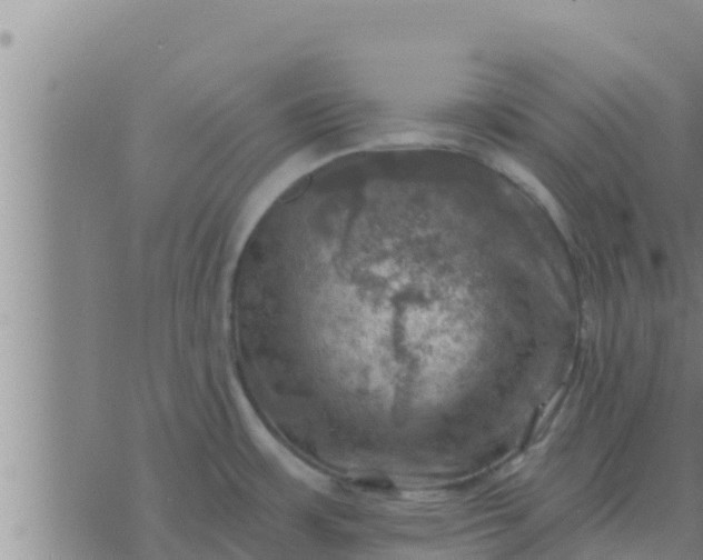 X0000074341483200609082045