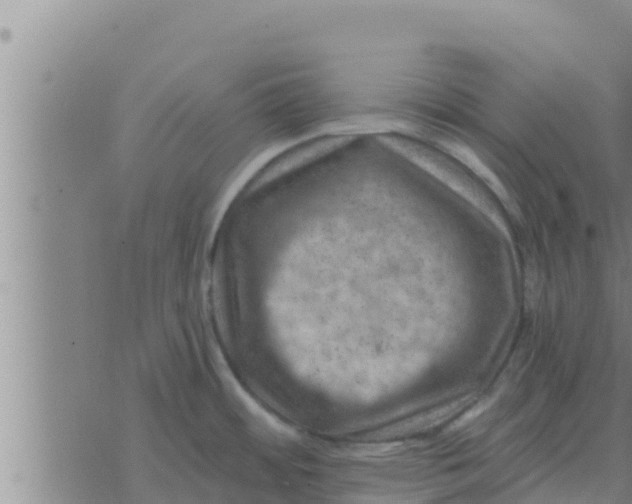 X0000074341484200609082045