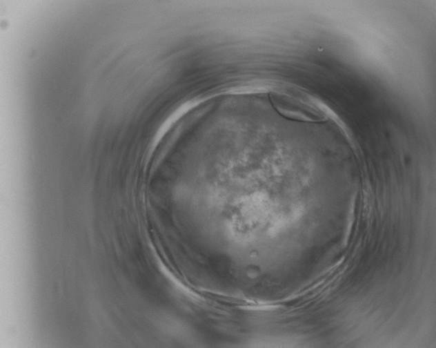 X0000074341487200609082044