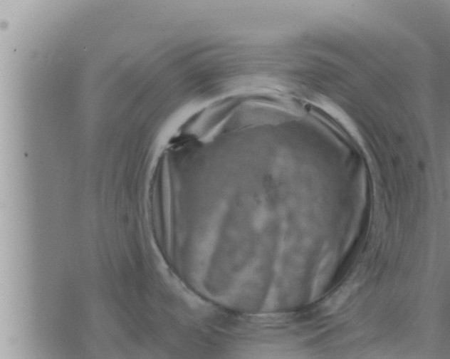 X0000074341488200609082044