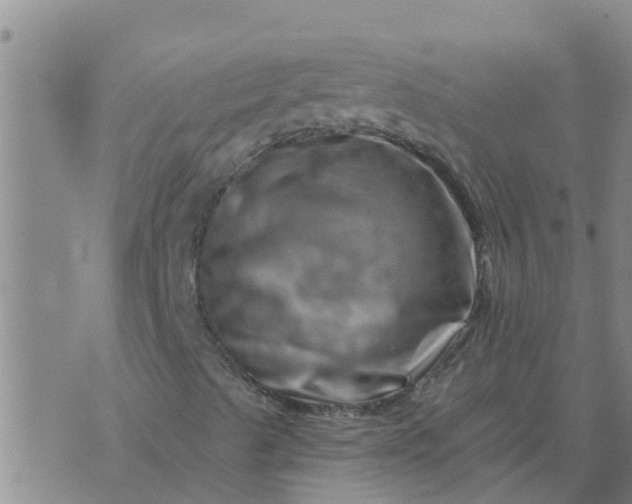 X0000074341489200609082044