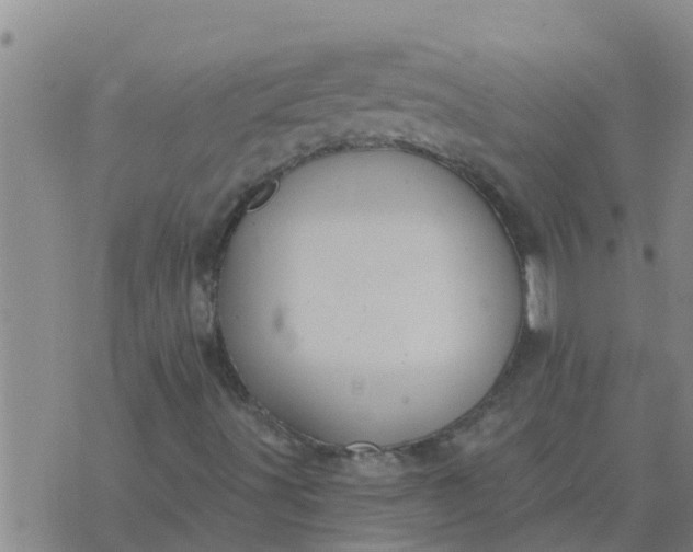 X0000074341491200609082044