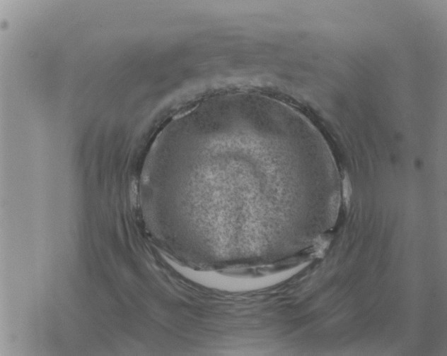 X0000074341492200609082044