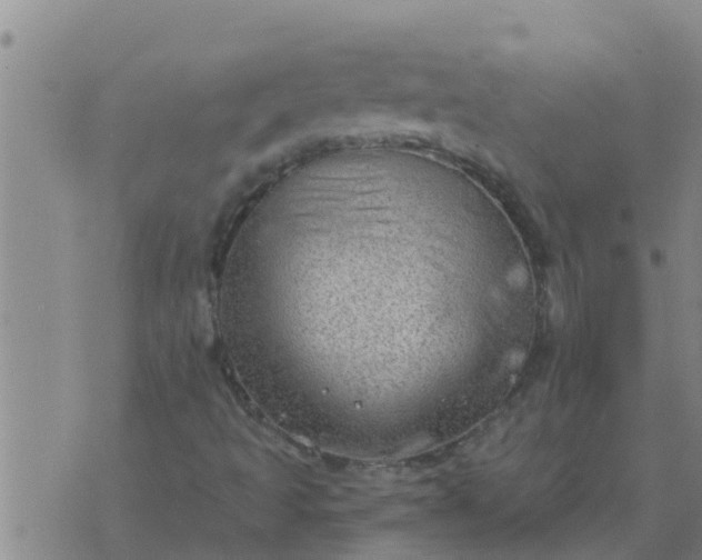 X0000074341493200609082044