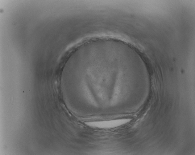 X0000074341494200609082044