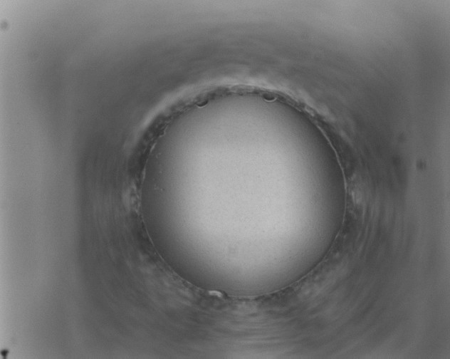 X0000074341495200609082044