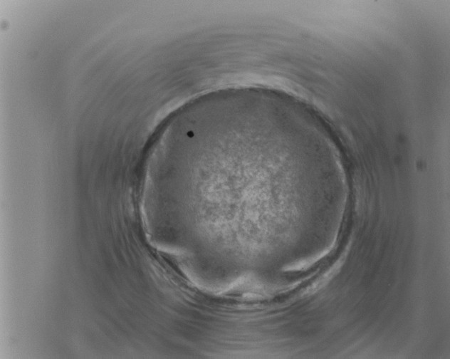 X0000074341497200609082044