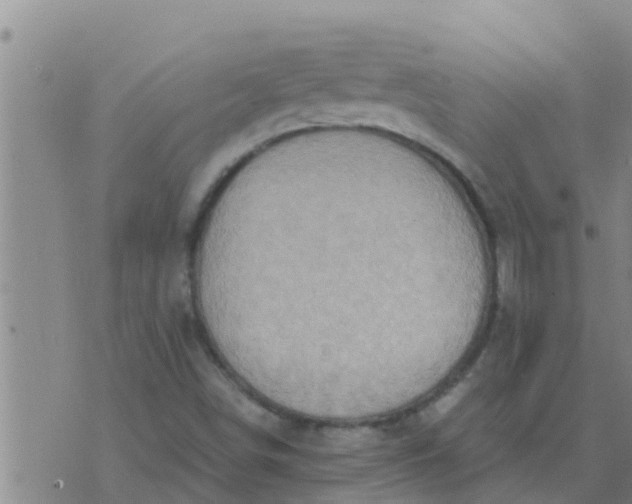 X0000074341498200609082044