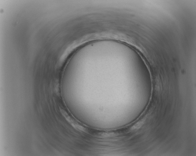 X0000074341499200609082044