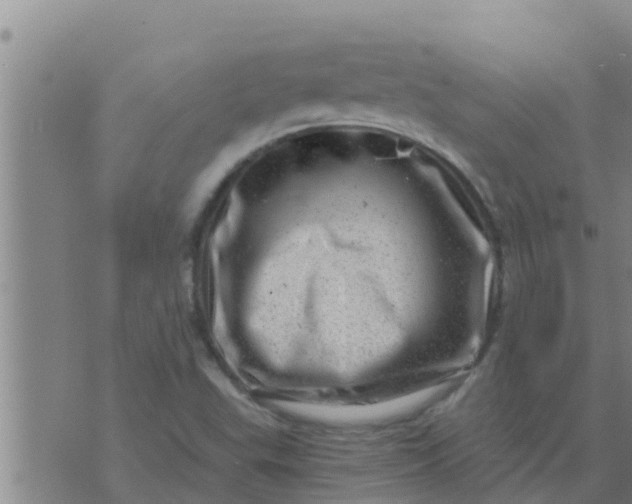 X0000074341503200609082044