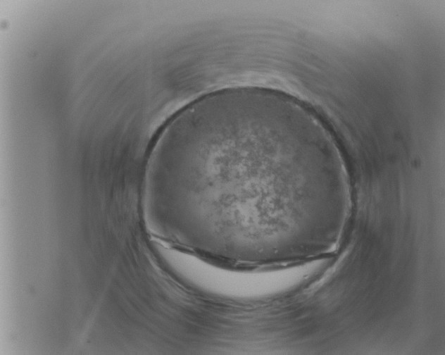 X0000074341505200609082044