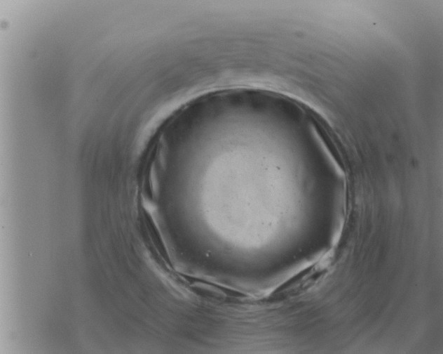 X0000074341507200609082044