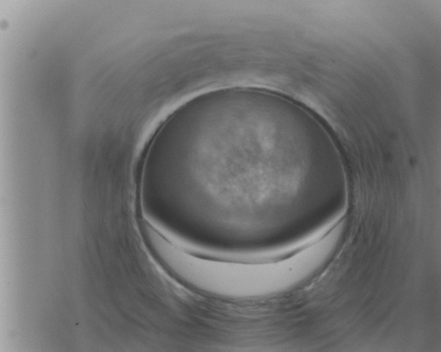 X0000074341508200609082044