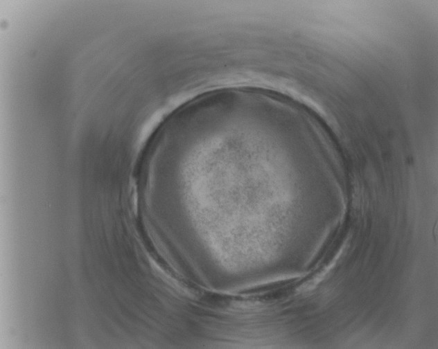 X0000074341509200609082044