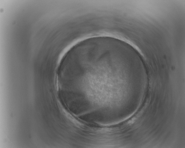 X0000074341510200609082044