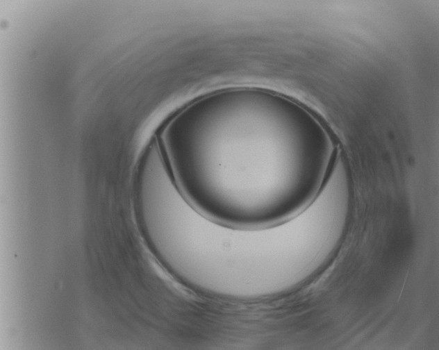 X0000074341511200609082044