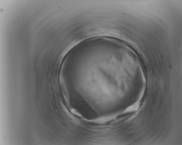 X0000074341513200609082044