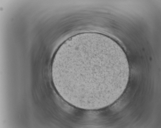 X0000074341514200609082044