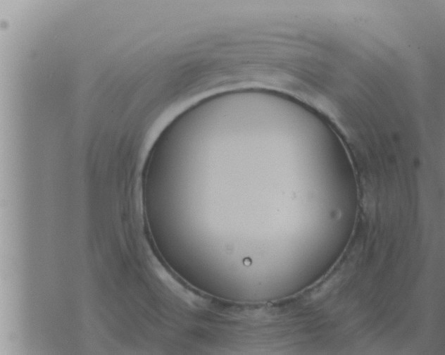 X0000074341516200609082044