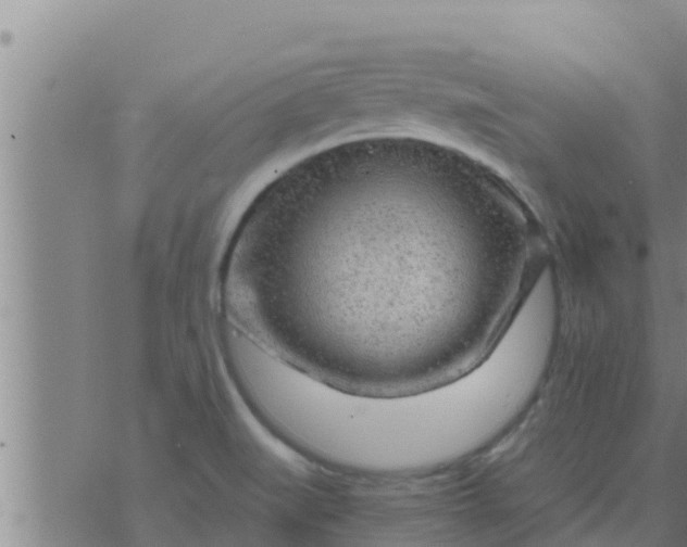 X0000074341519200609082044