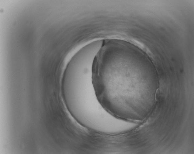 X0000074341520200609082044