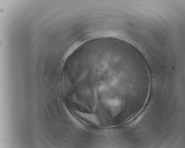 X0000074341521200609082044