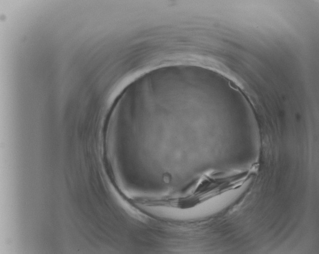 X0000074341523200609082044