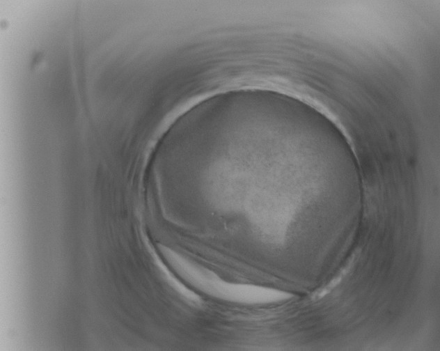 X0000074341525200609082044