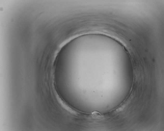 X0000074341526200609082044