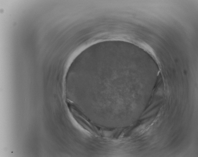 X0000074341528200609082044