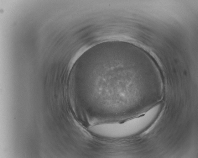 X0000074341529200609082044